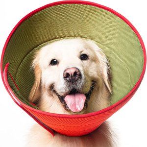 WOLFMO Soft Elizabethan Protective Dog Cone for M/L Dogs size 8